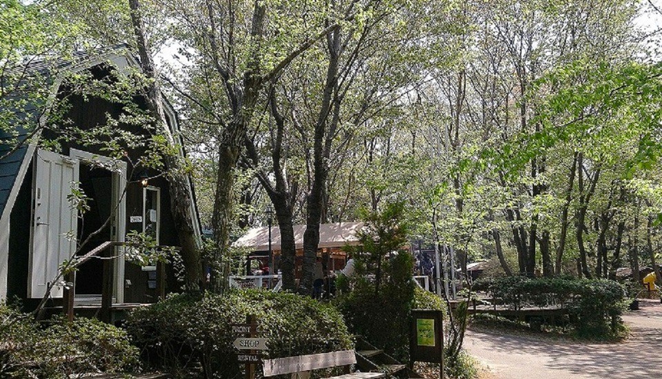 フォンテーヌの森