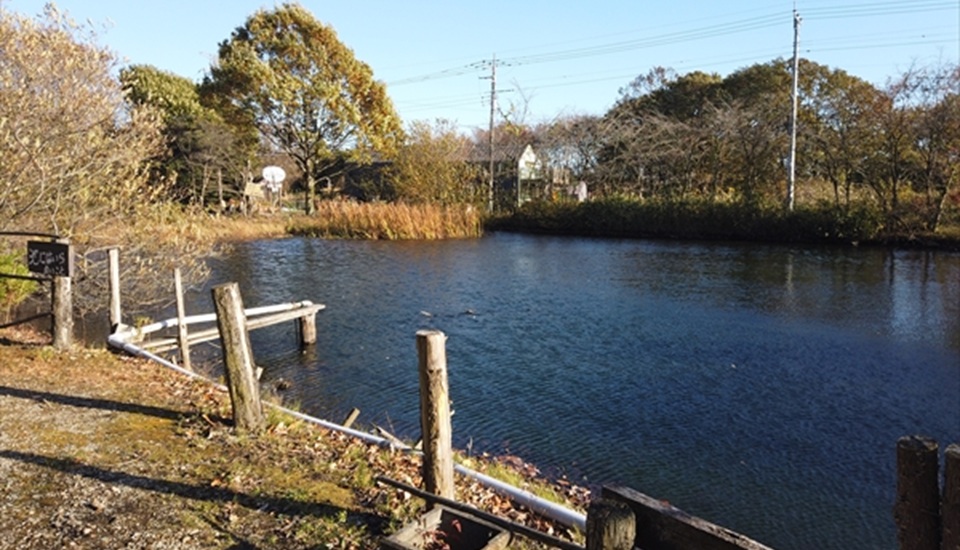 ホリデーキャンプ