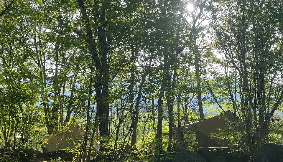 三景園オートキャンプ場