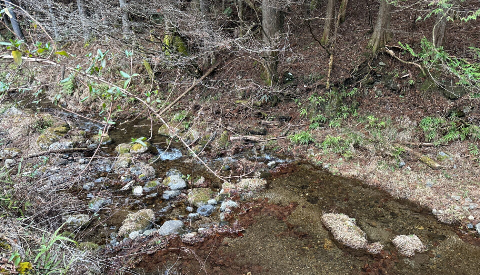 北正丸ウッディーランド (8) 北正丸ウッディーランド