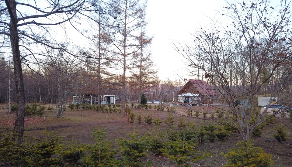 北軽井沢どんぐり山の一番星キャンプ場