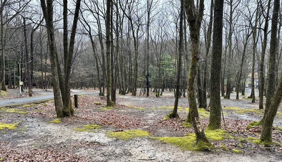 マイアミ浜オートキャンプ場 