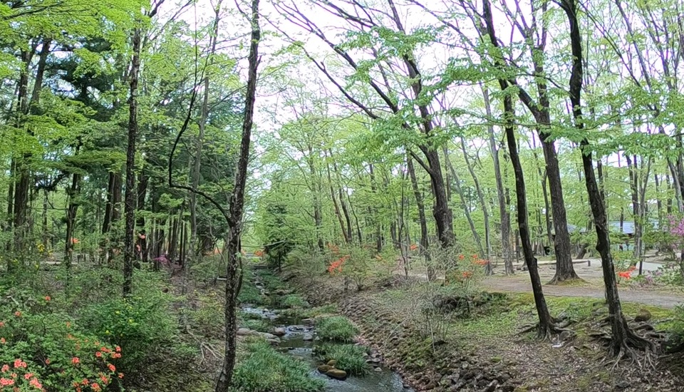 日光だいや川公園キャンプ場