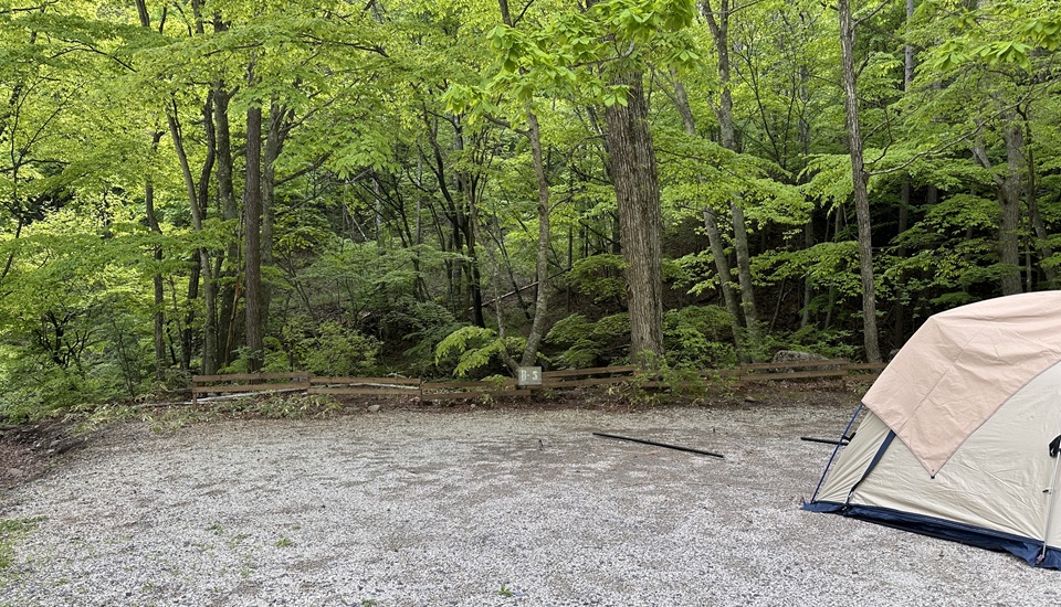 桐の木平キャンプ場
