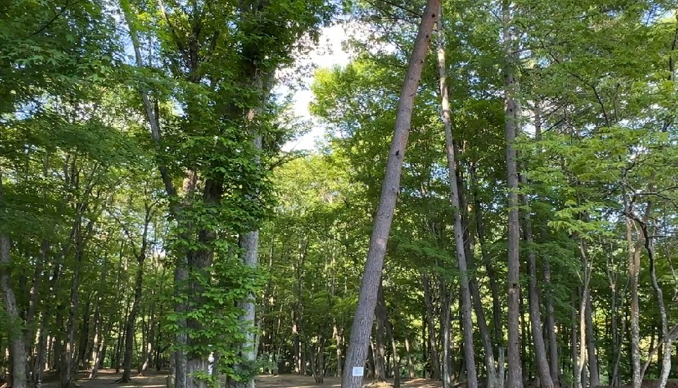 浅間大滝キャンプ場