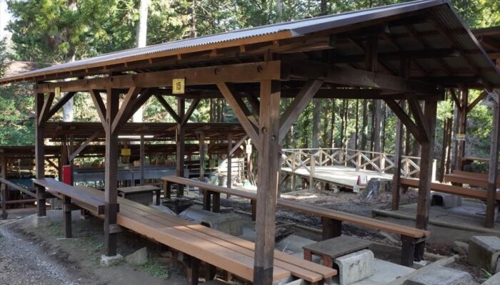 足柄森林公園丸太の森