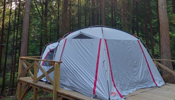 足柄森林公園丸太の森 足柄森林公園丸太の森
