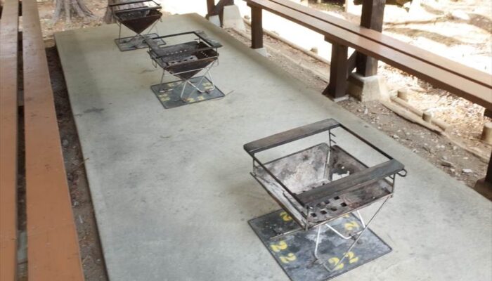 足柄森林公園丸太の森 足柄森林公園丸太の森