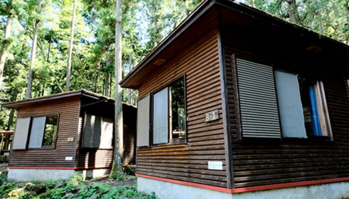 足柄森林公園丸太の森 足柄森林公園丸太の森