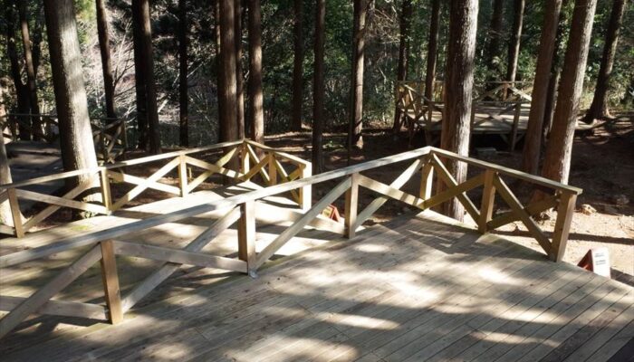 足柄森林公園丸太の森