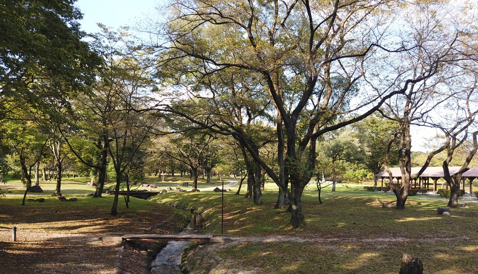 鳥野目河川公園